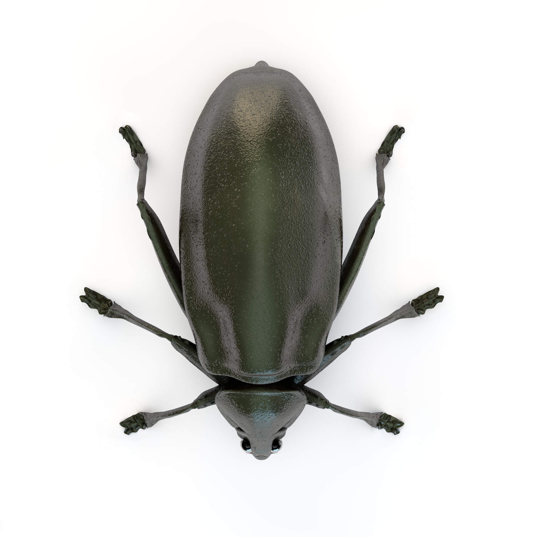 Free Cinema 4D 3D Model Beetle Bug Sculpt