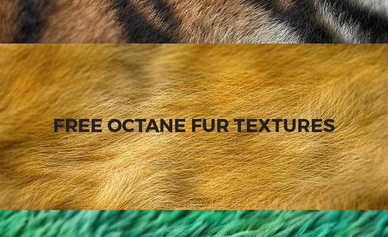 Octane Texture Render Otoy Cinema 4D C4D Hair Fur